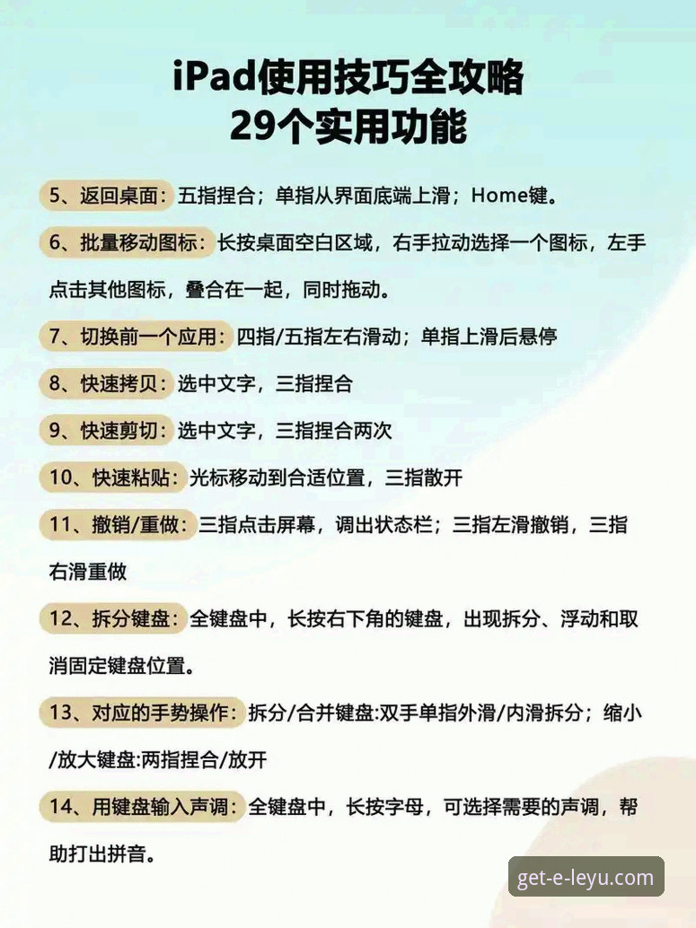 乐鱼官方平台使用指南：从下载到流畅观赛的完整教程